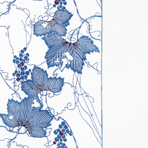 +symk910109_900234 サムネイル