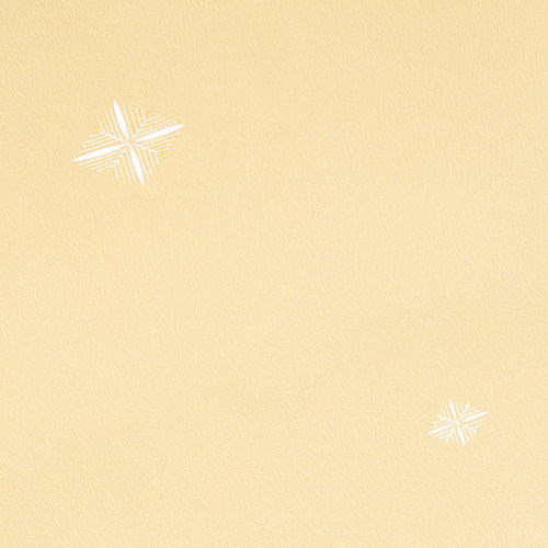 20231_900123 サムネイル