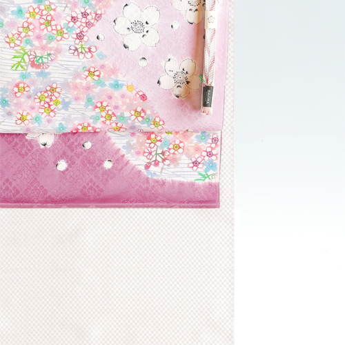 kgso971387_900900 サムネイル