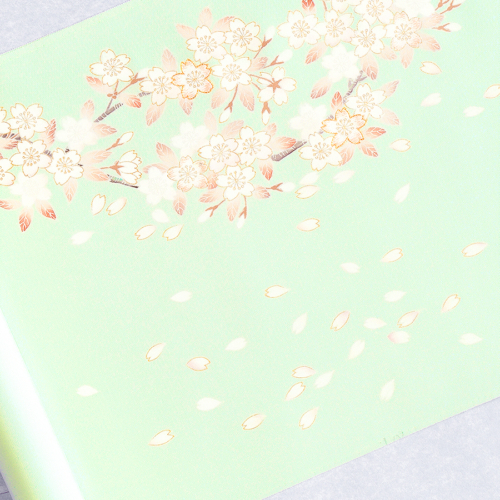 kso538801_900234 サムネイル