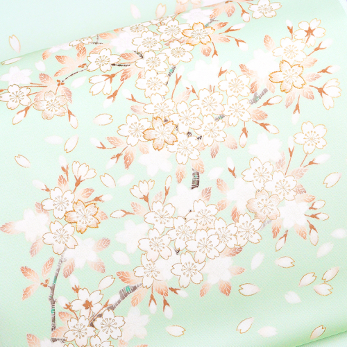 kso538801_900456 サムネイル